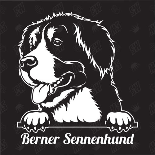 speedwerk-motorwear Berner Sennenhund Version 12 - Sticker, Aufkleber, Hundeaufkleber, Autoaufkleber, Hund, Auto, Hunderassen, Mischling, Mix, Tiere, Haustier (AUCH MIT Wunschname MÖGLICH)