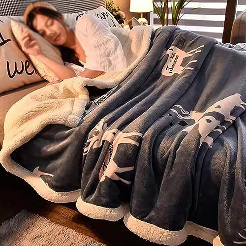ZoikoM Dicker Lamm-Kaschmir, Decke, Verdicken Sie Lamm Kaschmir Decke Winter, Winterwarm, Kern Aus Lammsamt, Dick Warm, Plüsch Winterdecke Sofadecke Für Schlafzimmer, Sofa/Couch/Sofa/Hotel, 180×200cm