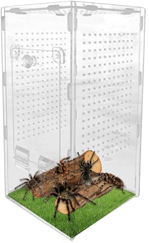 Springspinnen-Terrarium, Mantis Acryl-Terrarium, Spinnengehege, ausbruchsicherer Reptilien-Lebensraum Tank für Gecko, Wissenschaft, Projekt, Beobachtung, Schildkröte, Vogelspinne,