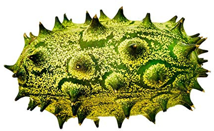 100 Kiwano Samen, Die Afrikanische Horngurke -Cucumis metuliferus- ***Großpackung***
