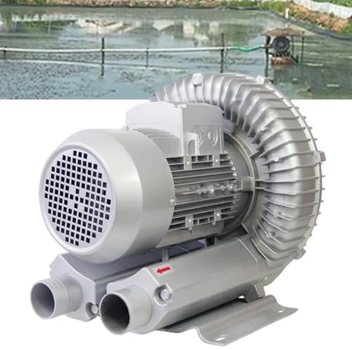 twostronking Soffiante a Turbina Monofase, 120 W-1100 W Opzionale, Volume d'Aria Massimo 210 M³/H, con Filtro Antipolvere E Alloggiamento in Alluminio, Soffiaggio-Aspirazione a Doppio Scopo,550W