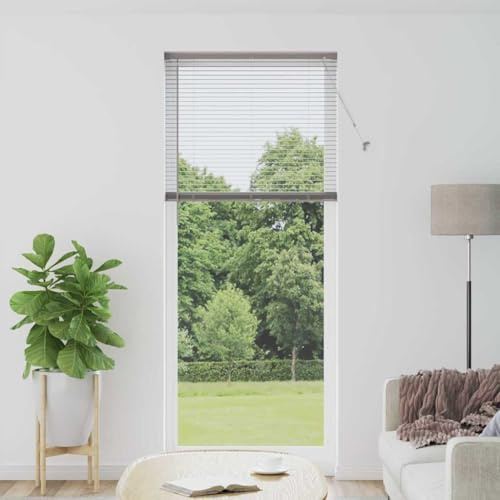 Aluminium-Jalousien Silber 220 x 95 cm, verstellbare Lamellen für Lichtkontrolle und Privatsphäre, manueller Mechanismus, pflegeleicht mit feuchtem Tuch, Innenmontage für schlanke