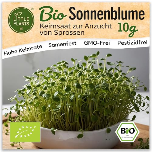 Little Plants Bio Sonnenblumen Sprossen Samen [10g] - Sonnenblumen-Samen - Sonnenblumensprossen & Microgreens zum Keimen