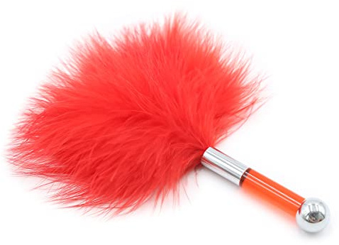 Chatouiller sexy bdsm sexy Feather stick Sex torture Tool teaser Feather stick Bed Sensory Toy (Red)