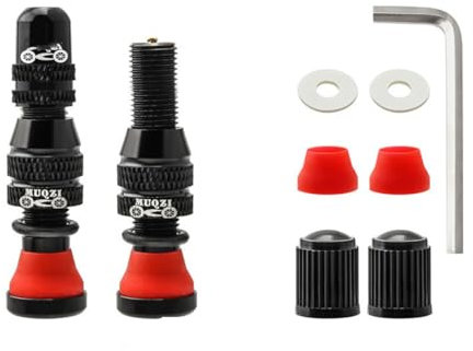 HOUSON 2PCS Bicycle Tubeless Valves, Bicycle Valve Adapter Bicycle Valve Extension American Valve Tubeless Presta Valve Stem 40mm