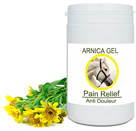 Bleu & Marine Bretania - Gel de Árnica 90% Concentrado | Extracto Ecológico | Masaje Muscular y Articular | Hidratante y Tratamiento de Acné, Espinillas, Puntos Negros y Estrías, 1kg