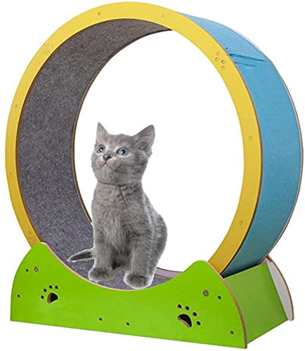 SSQUZA Katzenlaufrad, Ruhiges Katzenrad-Laufband-Kätzchenspielzeug, Haustier Katze Laufband Riesenrad Läuft Reibungslos Frei, Kratzbrett für Kleine, Mittelgroße Katzen für Den Innenbereich