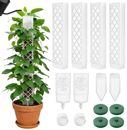 Haoledy Tutores para Plantas Automático Ampliable, 4 Piezas 24,5 cm Tutor Monstera Tutor de Musgo para Monstera Soporte para Plantas Trepadoras, con 4 Atadores para Plantas 2 m (Blanco)