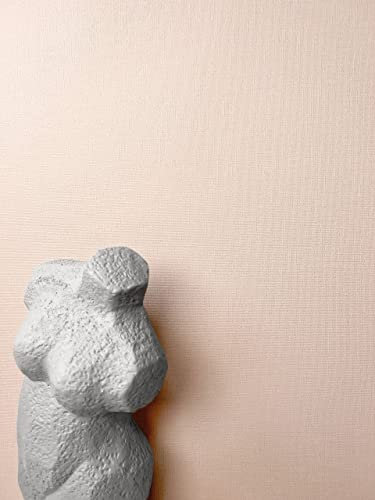 NEWROOM carta da parati Rosa Tinta Unita Tessuto non Tessuto - Uni Rosa cipria Blush Struttura Tessile