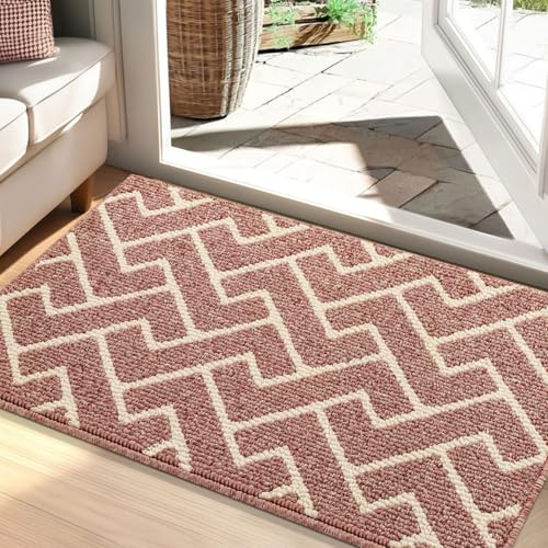 Biscpro Schmutzfangmatte 60x90 Fußmatte Innen, Wasserdicht Schmutzabsorption Matte rutschfest für Außen Eingang, Stufenmatten, Teppich, küchenteppich
