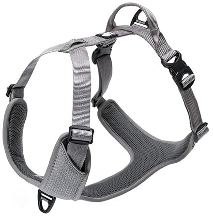 TRUE LOVE Hundegeschirr Outdoor Adventure II Reflektierende Weste mit 2 Leinenbefestigungen Passende Leine und Halsband Verfügbar TLH6071