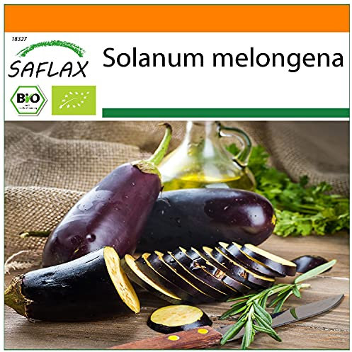 SAFLAX - - BIO - Melanzana - Long Purple - 20 semi - Solanum melongena