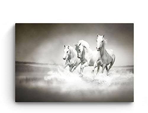 Startonight Cuadro sobre Vidrio Acrílico - Caballos en la Carrera - Moderno Cuadro de Cristal Acrílico 60 x 90 cm