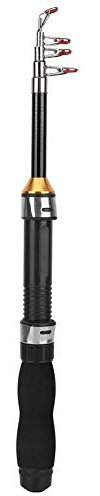 Tragbare Angelrute - Teleskop Mini Sea Fishing Werkzeug f¨¹r Reise, Meerwasser & S¨¹?wasser, Bass, Forelle,TRL1m