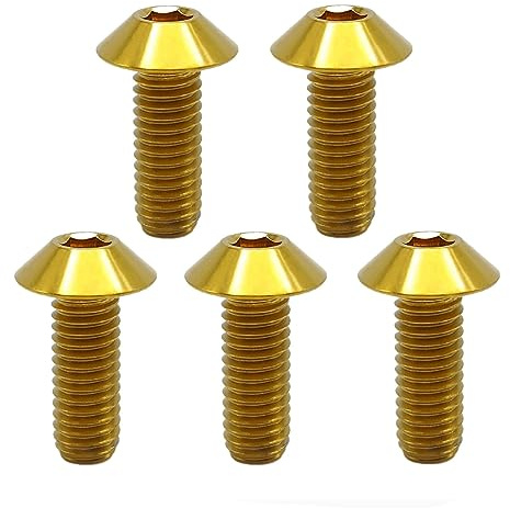 RISON Titanium Bolzen M5x0.8x12mm Titan Kuppelkopf Kopfbolzen Innensechskant Bolzen golden Titanschrauben Sockel Kopf Schraube für Fahrrad Motorrad 5 Stück