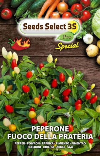 Seeds Select 3S Pro Special Semi di Peperone Fuoco della Prateria, Peperoncino Ornamentale Multicolore, semi in bustina