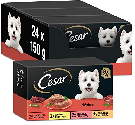 Cesar Cibo umido per cani, selezione di classici in paté, confezione da 3 x 8 x 150 g