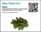 Aqua Plants Care Nettle Natural Premium Food For Shrimps Fish Catfish Snails (10g)
