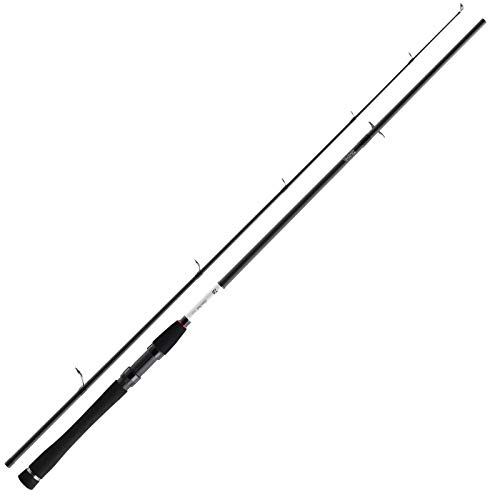 Daiwa Spinnrute Silver Creek Sea Trout, 3.05m 8-35g