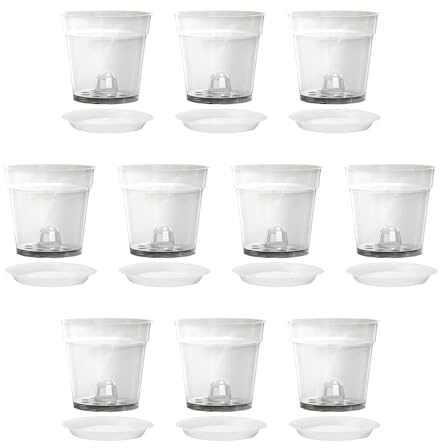 Smloplom Lot de 10 grands pots à orchidées, transparents, avec ventilation, pour plantes d'intérieur, pour orchidées et plantes grasses, intérieur/extérieur, transparents