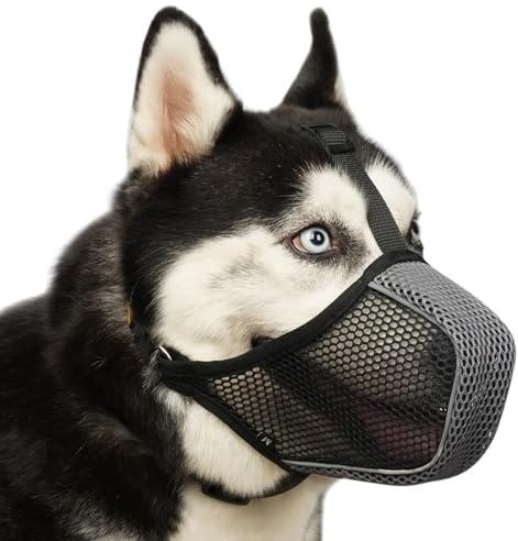 Mayerzon Dog Muzzle, Patented Mesh Soft Muzzles for Large Medium Small Dogs Poodle Husky Doberman Labrador Retriever for Scavenging Grooming Biting Chewing, Breathable Reflective Mussel with Collar