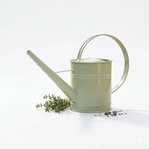 BERARDI | Annaffiatoio in Metallo Verde Salvia, Capacità 1,8 Litri, Design Ergonomico con Manico ad Arco, Beccuccio Lungo e Sottile per Piante Delicate