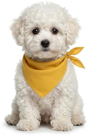 Petitebelle Hundehalstuch, einfarbig, Gelb, Größe M