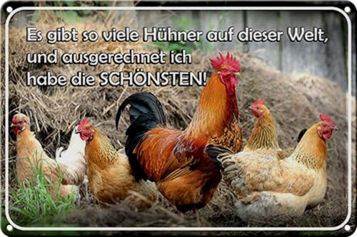 Blechschild 20x30cm gewölbt Die Schönsten Hühner Huhn Hahn Sprüche Deko Geschenk Schild
