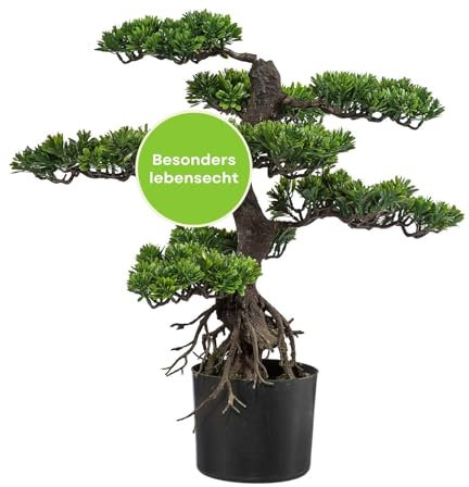 CREATIV green künstlicher Bonsai Baum 65cm I Bonsai Baum künstlich mit Kunststoff-Topf 14 x 12cm in schwarz I künstliche Pflanzen als Wohnzimmer Deko I hochwertige Kunstpflanze Bonsai