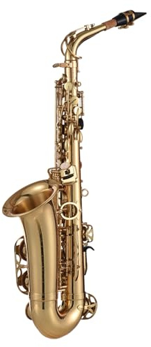 summina Saxophone E Flat, 875 Key Type, Brass, High Grade Leather Pads | Gold, Engraved Pattern, With Case, Cleaning Brush, Cloth, Gloves, Strap (Upgraded 875 KEY)