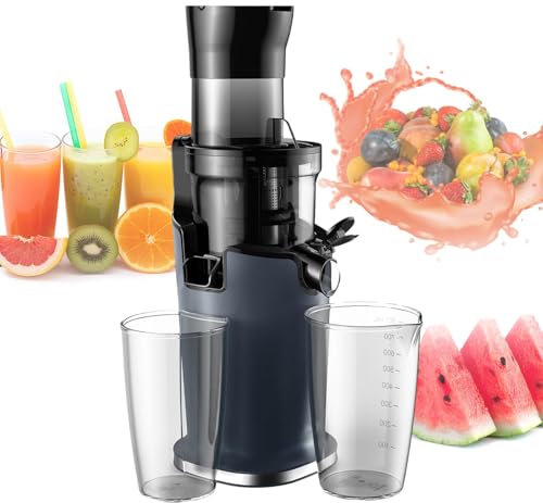 pealiritansemen Extracteur De Jus Lent Automatique 200 W, 40-65 TR/Min, Extracteur De Jus À Faible Vitesse, Conception Amovible, pour Faire Toutes Sortes De Jus De Fruits/Légumes