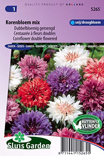 Centaurée à fleurs doubles en mélange - Graines De Fleurs Annuelles