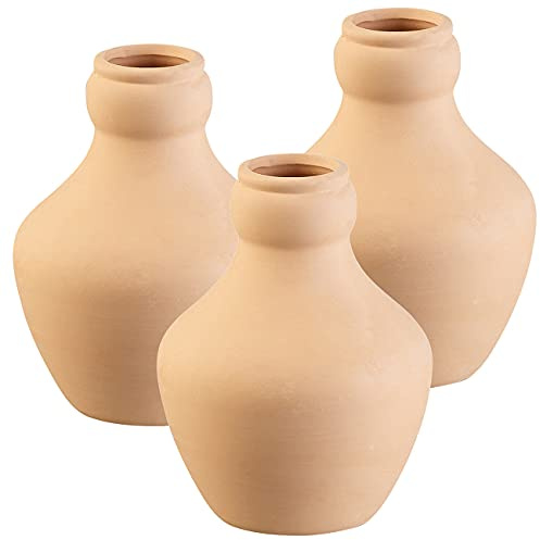 3 doseurs dirrigation en terre cuite - 1 L [Royal Gardineer]