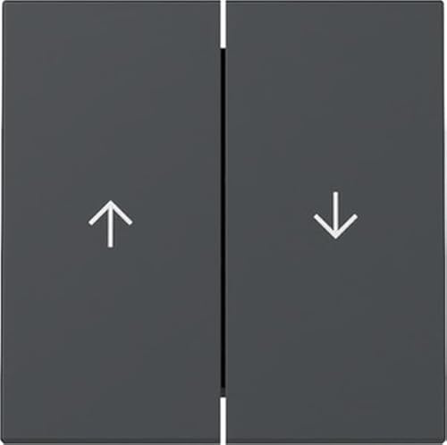 Gira 329428 Wippe Anthrazit 2-Fach
