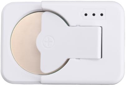 Pylorixz Chargeur Universel de Pile Bouton Type-C Chargeur de Batterie au Lithium pour LIR2032/LIR1632/LIR2025/LIR2016/LIR2032H, Blanc sans Câble