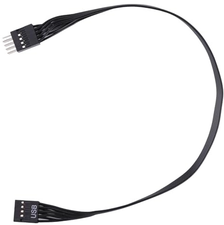 TTTLLNN Cavo di prolunga anteriore USB 2.0 a 9 pin per scheda madre per computer desktop e laptop (20 cm/30 cm/50 cm)