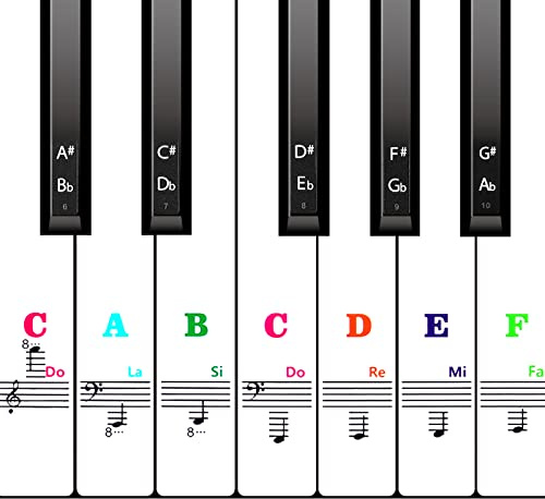 AIEX Piano Keyboard Stickers 88/61/54/49 Keys, Removable Transparent Piano Keyboard Stickers for Beginners and Kids (Colorful)