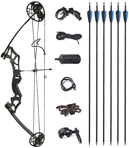 ZSHJGJR Compound Bogen Set Bogenset für Bogenschießen Sportbogen Verstellbarer Jagd Compoundbogenset 35-50 lbs 260fps Jagdausrüstung mit Komplettes Zubehör Kit (Typ 2)