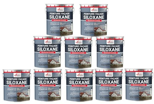 Siloxanfarbe - ARCAFACADE SILOXAN Beige - RAL 080 80 10-10 x 10 L