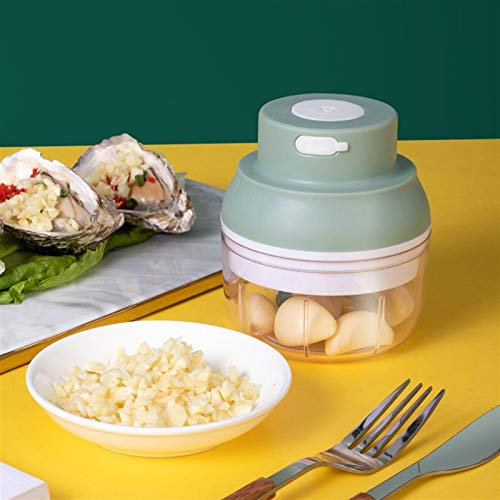 HAVVMK Mini picadora de Carne, picadora de Verduras y Carne con Capacidad de 100ml/250ml, picadora de Carne Recargable por USB de Dos Colores Opcional