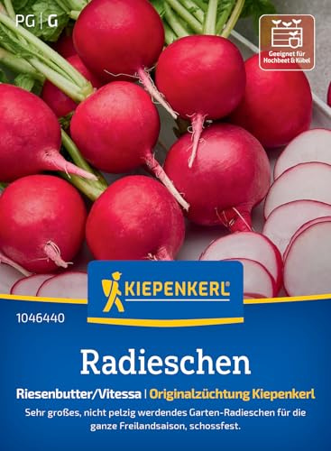 Kiepenkerl Radieschensamen Riesenbutter/Vitessa 1046440 - Große, mild-würzige Knollen, ideal zum Naschen, Gemüsesamen aus der Originalzüchtung Kiepenkerl