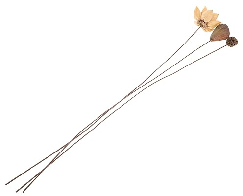HOLIDYOYO Composizione Floreale di Loto Essiccato con Steli Decorazione Zen per Centro Tavola e Ambienti Interni Design Stile Cinese senza Manutenzione
