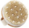 Brosse à Sec Pour Le Corps, Brosse Pour Le Corps La Brosse Exfoliante Pour Le Corps Bain Poils Naturels Drainage Lymphatique, Améliorer Les Fonctions Lymphatiques,Exfoliant