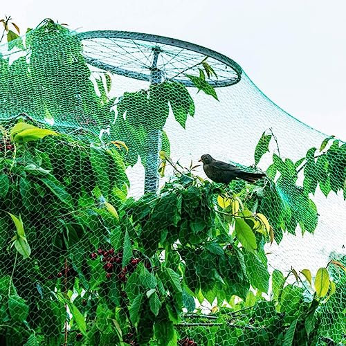 PanHuiWen Filet Anti Oiseaux Fraisier Filet Jardin Cloture Support Plante Grimpante Protection Contre Les Oiseaux, Les Feuilles,1x10m