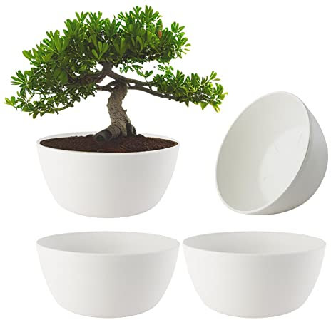 ECOMACETAS FLOWERPOT STORE Maceta Bonsai, Macetas para Bonsais, Cactus, Suculentas, Crasas Redonda Baja de Plástico Blanca (4, 20 cm)
