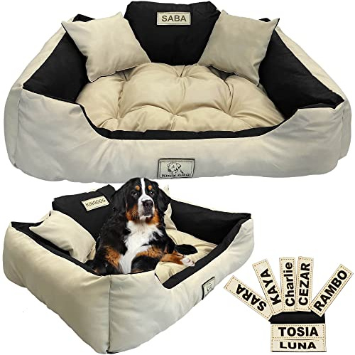 EDANTI Hundebett Hundekissen Katzenbett Personalisiert Hundesofa mit Namen L - XL für große mittelgroße & kleine Hunde (75x65, Beige)