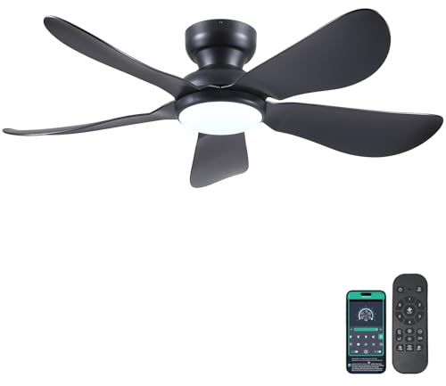 Kviflon 46 In Ceiling Fans with Lights Remote/APP,5 Reversible Blades Black