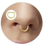 Lantine Nasenpiercing Ring 16g Septum Piercing Chirurgenstahl Daith Conch Piercing Nasenring Gold Segmentring Clicker Spetum Rings Helix Tragus Rook Piercings Ohr 6mm