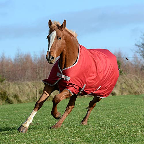 Bucas Freedom Turnout Pony 300g - Chilli Red