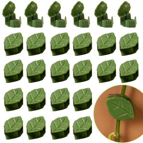 BOMULEZG 60 Stück Pflanzenclips Für Kletterpflanzen Kletterpflanzen Clip Selbstklebende Pflanzenklammern Für Kletterpflanzen Wand Kletterpflanzen Befestigung, Gartenarbeit, Pflanzenstützung